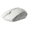 Rapoo 18043 wireless mouse