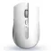 Rapoo Mouse wireless 18043