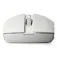 Rapoo Mouse wireless 18043