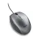 NGS Souris Moth