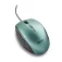 NGS Souris Moth