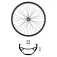 Mvtek 29´´ Tubeless MTB front wheel