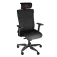 Genesis Astat 700 G2 게이밍 의자