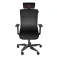 Genesis Astat 700 G2 게이밍 의자