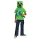 Disguise Minecraft Creeper Och Hacka Kostym
