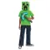 Disguise Minecraft Creeper Och Hacka Kostym