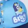 Bluey Bluey pet