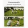 Anker Floodlight Cam E340 security camera