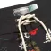 Fasthouse Tribe 18´´ kurze hose