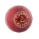 Readers Palla da cricket junior County Elite A