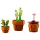 Lego Tiny Plants Construction Game 758 pieces