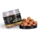 Nash bait Scopex Squid 75g 팝업 미끼
