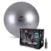 Ptp Coreball フィットボール