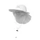 Izas Cappello Dies