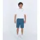 Hurley Phantom Flow Walk 20´´ 반바지