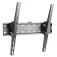 Gembird 32-55´´ TV stand