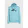 O´neill Moletom com capuz Logo