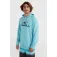 O´neill Sudadera con capucha Logo