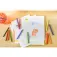 BIC Plastidecor 12 enheter