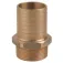 Guidi Conector recto Bronce M 3/4´´ 25 mm