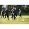 Precision Cons d´entrenament Micro