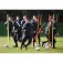 Precision Pal d´slalom Spring Base 12 unitats