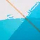 Nsp Taula de surf E-Plus Longboard 9´0´´