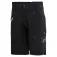 Sailfish Thermal shorts