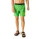Regatta Bentham simshorts