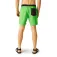 Regatta Bentham simshorts
