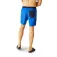Regatta Bentham simshorts