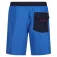 Regatta Bentham simshorts