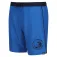 Regatta Bentham simshorts
