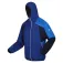 Regatta Tarvos VII softshelljack