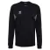 Hummel Dessuadora Authentic CO Training