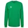 Hummel Dessuadora Authentic CO Training