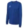 Hummel Dessuadora Authentic CO Training