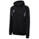 Hummel Moletom com capuz Authentic PL