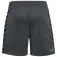 Hummel Шорты Authentic PL