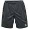 Hummel Authentic PL shorts