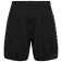 Hummel Authentic PL shorts