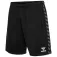 Hummel Authentic PL shorts