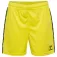 Hummel Шорты Authentic PL