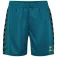 Hummel Authentic PL shorts