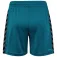 Hummel Authentic PL shorts
