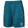 Hummel Authentic PL kurze hose