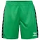 Hummel Authentic PL σορτς