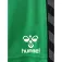 Hummel Шорты Authentic PL