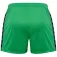Hummel Authentic PL shorts