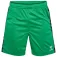 Hummel Authentic PL shortsit